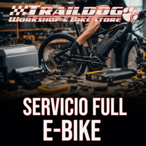 Servicio Full E-Bike